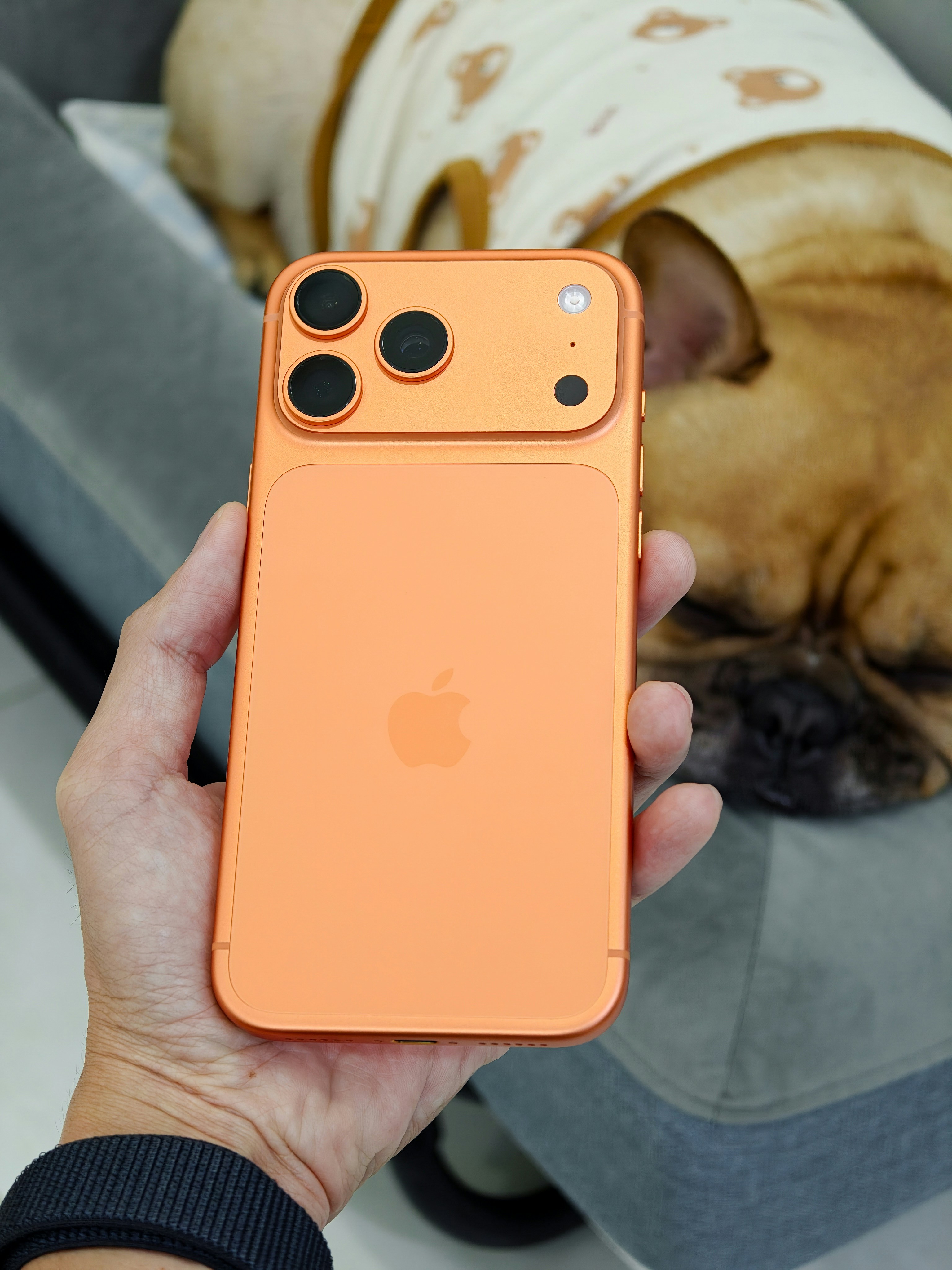 Apple iPhone 17 Pro Max Cosmic Orange